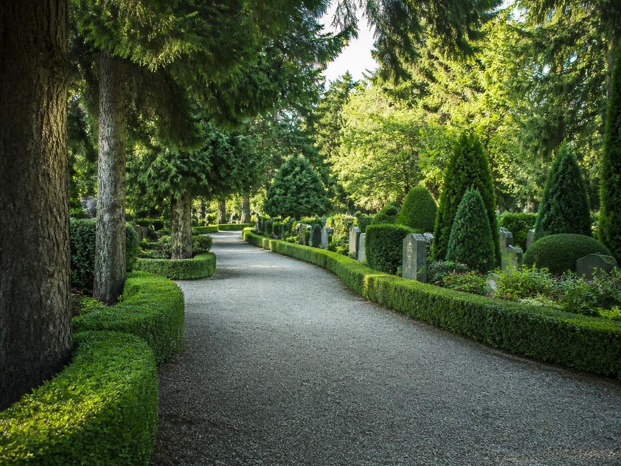 Tree-lined pathway through the cemetery grounds